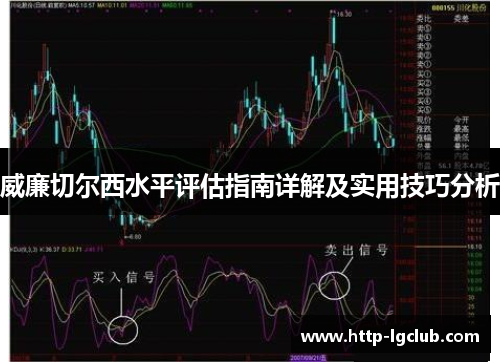 威廉切尔西水平评估指南详解及实用技巧分析