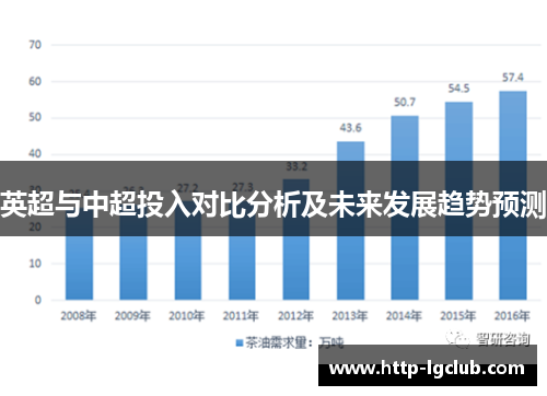 英超与中超投入对比分析及未来发展趋势预测